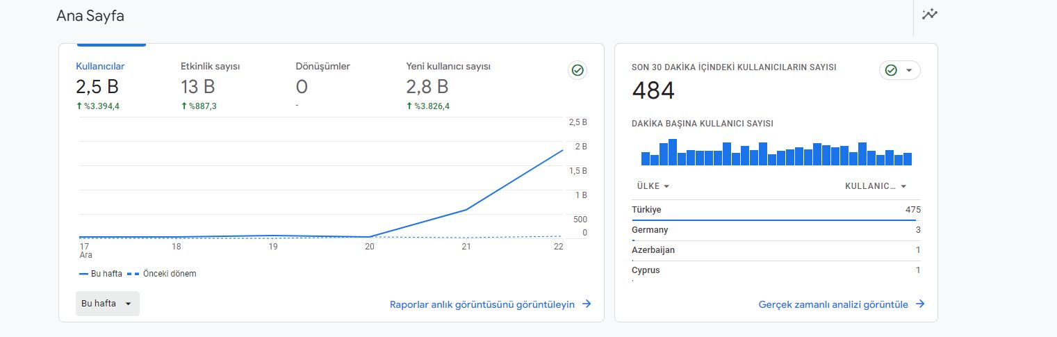 SEO referansı performans sonucu